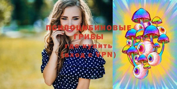 мяу мяу кристалл Костерёво