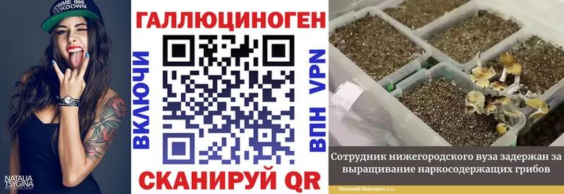 магазин продажи наркотиков  mega как зайти  Псилоцибиновые грибы Psilocybe  Елизаветинская 